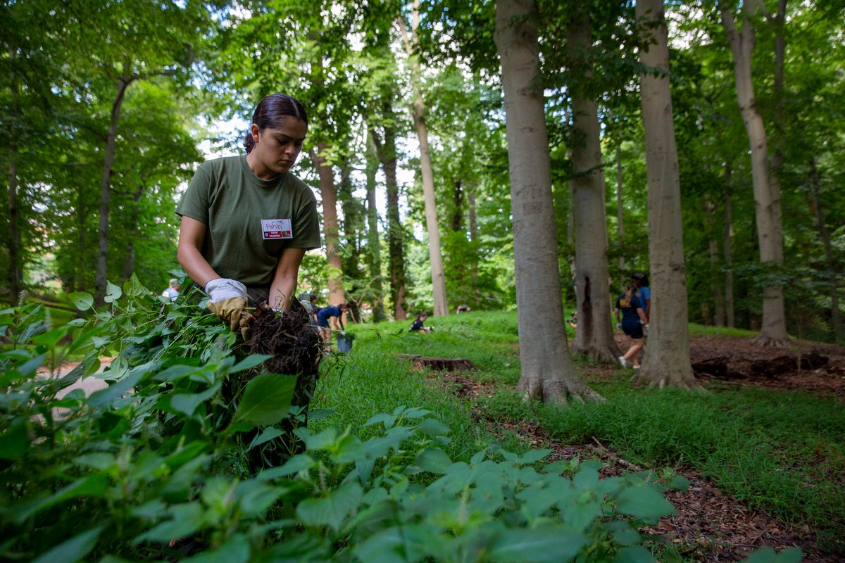 Marine Forces Command tweet media
