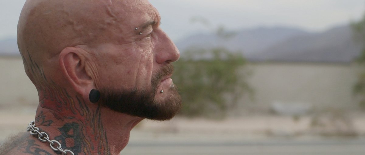 Desert Migration tweet media