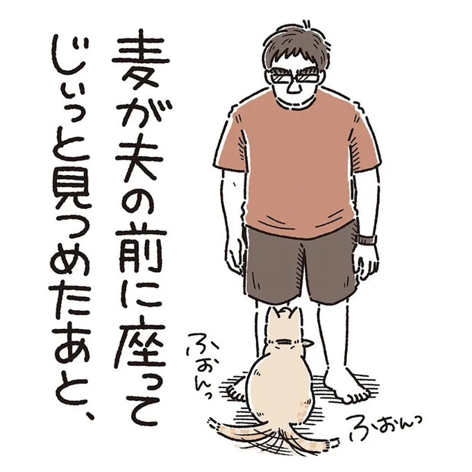 しっぽを振って飼い主の夫を見つめる猫 すると、次の瞬間…? https://t.co/mbic4jUHeJ @grapeejpより 