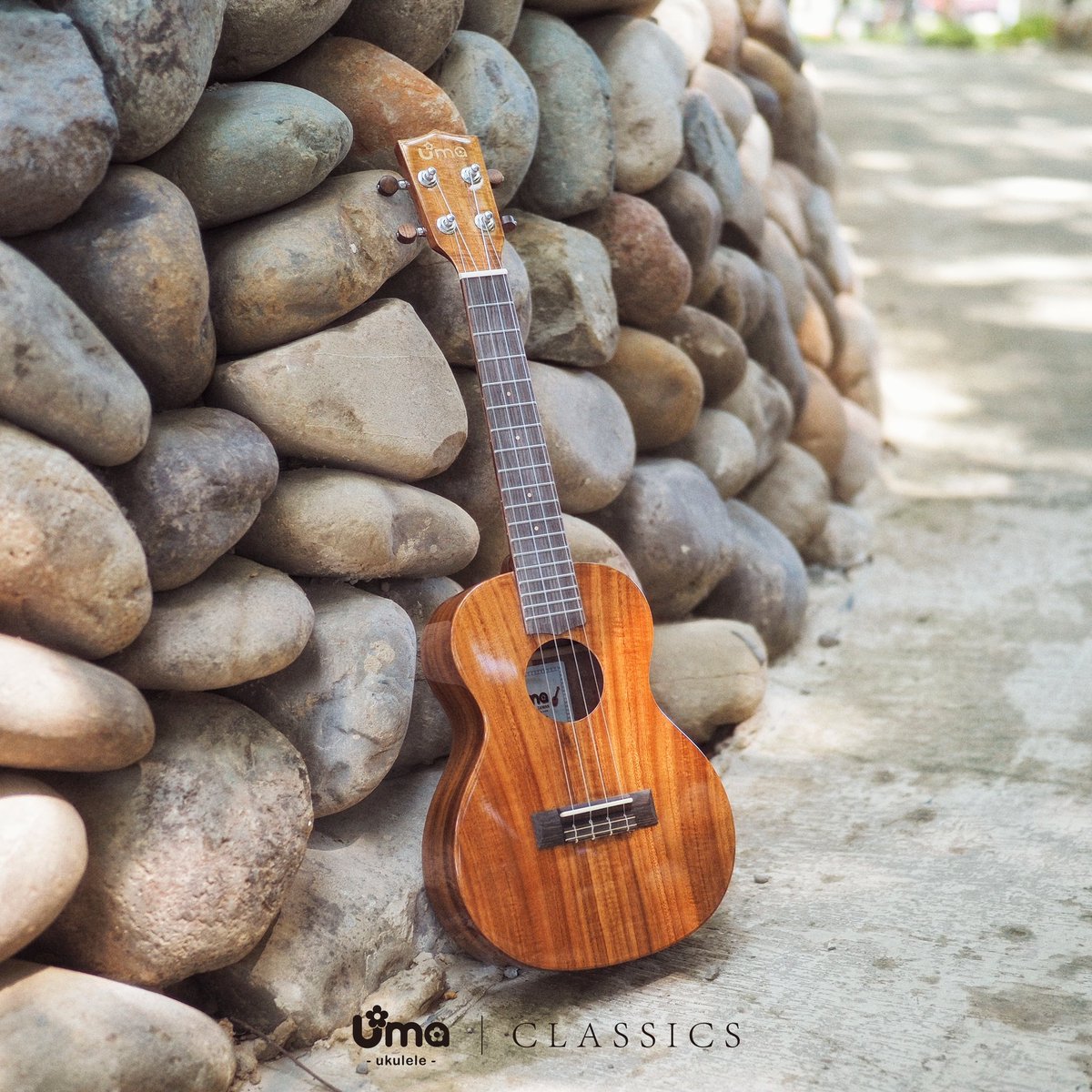 Uma CLASSIC SC All Solid ukulele 🌲🌲

#ukulele #umaukulele #uma #uke

umaukulele.com