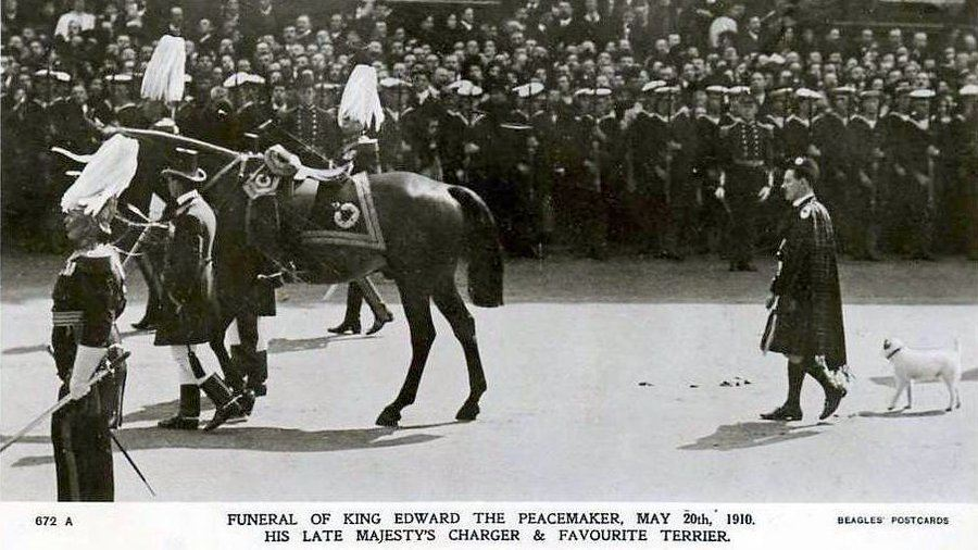EasyPaws's tweet photo. King Edward VII's Wire Fox Terrier, Caesar.

When Edward died in 1910, Caesar was chosen to lead the funeral procession with a highlander walking behind the coffin, ahead of King George V and 8 foreign Kings.

The German Empire's Kaiser Wilhelm II was reportedly furious. https://t.co/ArZP14ugvO