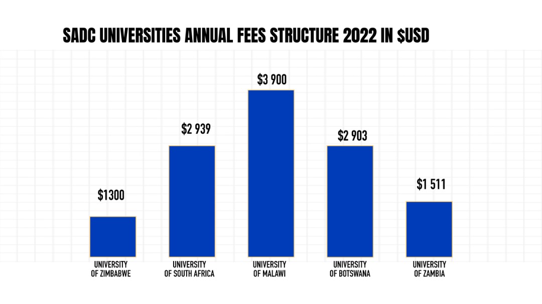 Dereck Goto tweet media