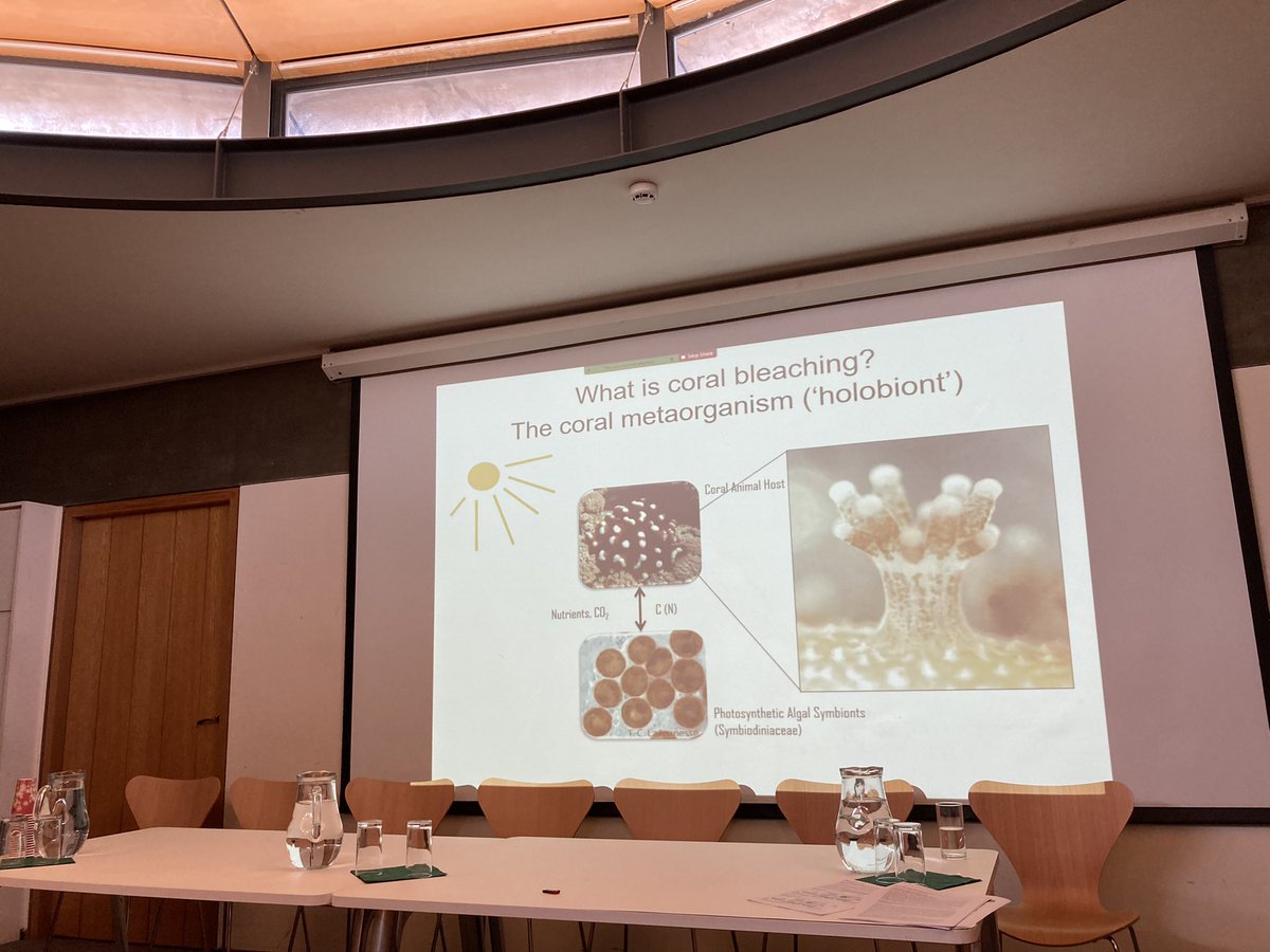 BES-aquaticgroup (BESAG) tweet media