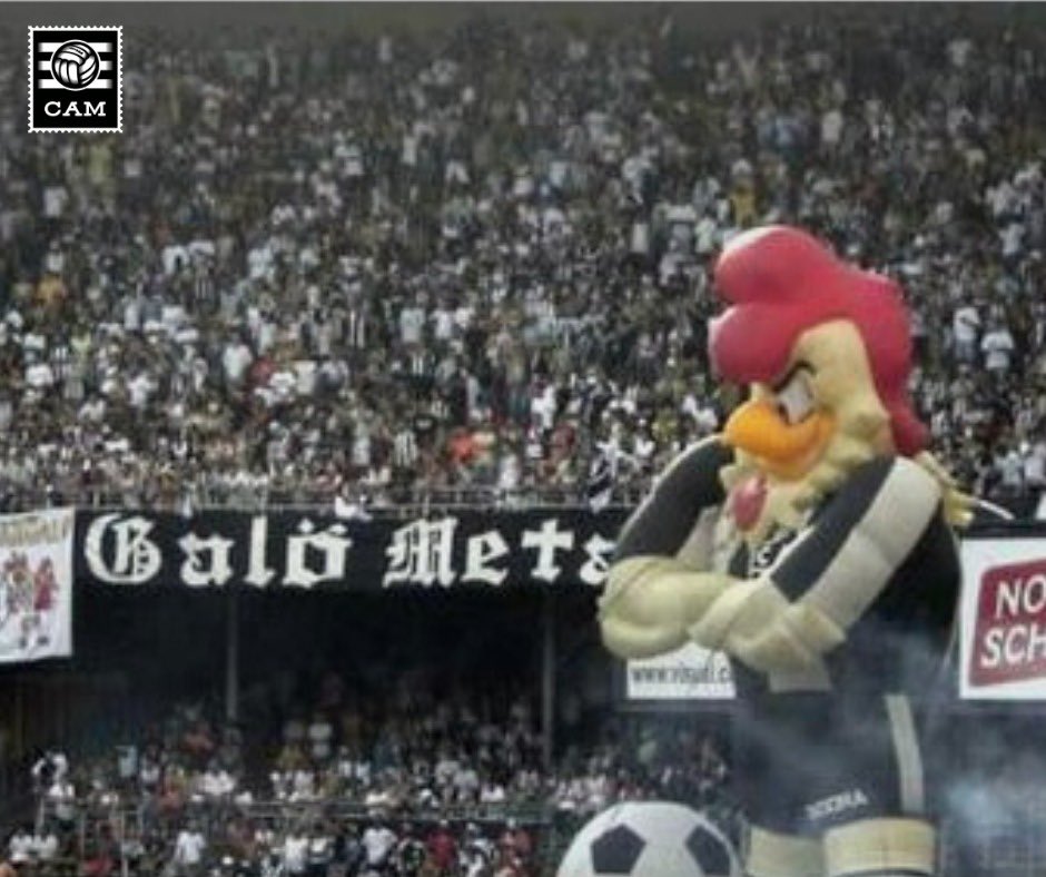 Galo Digital tweet media