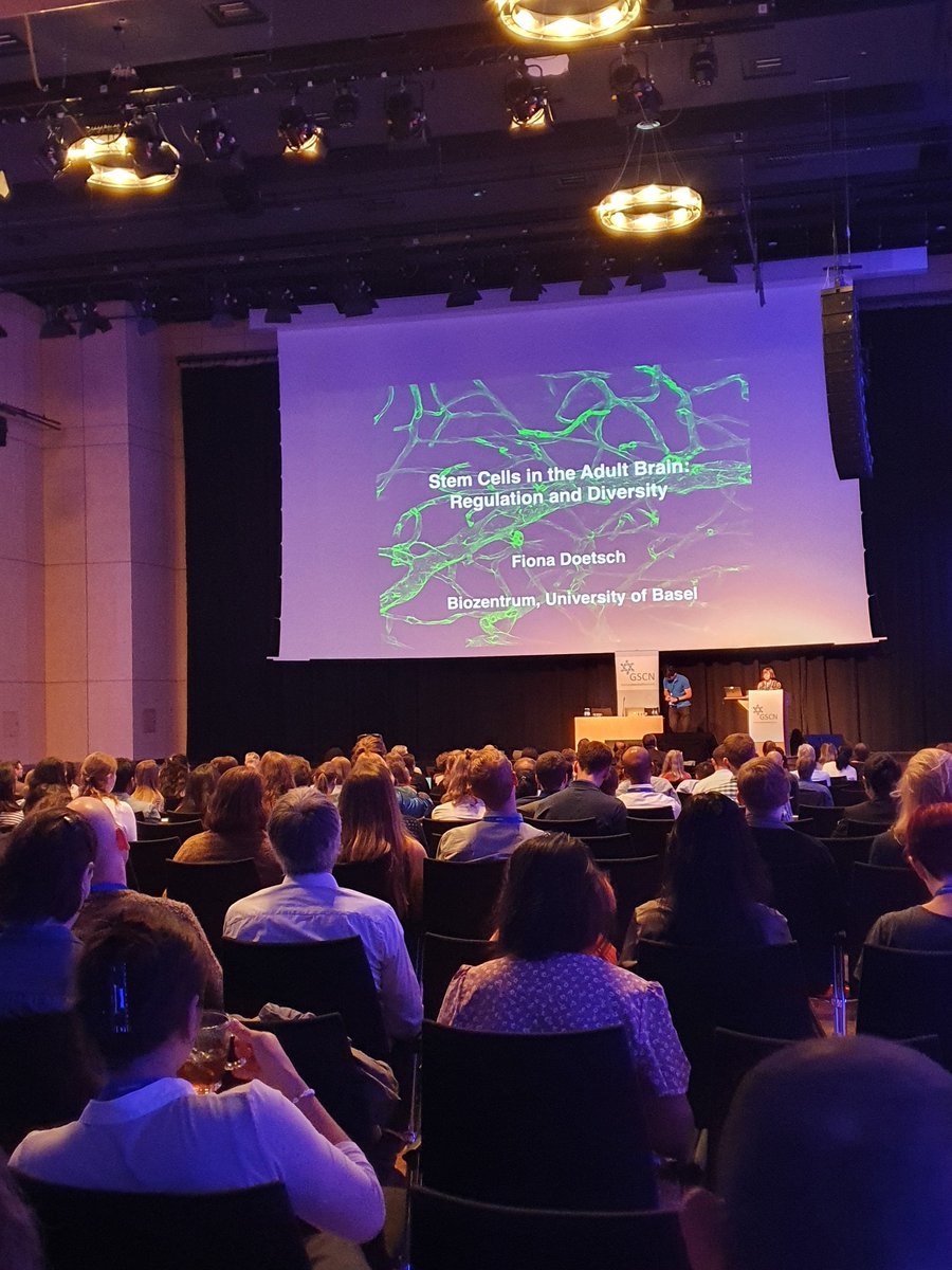 GSCN (@gscn_office) on Twitter photo The #GSCN2022 Conference & 20 years <a href="/StemCellsNRW/">Stem Cells NRW</a> has started! Great opening by Hans Schöler <a href="/MPI_Muenster/">MPI Molecular Biomedicine</a> and Fiona Doetsch. Looking forward to exciting 4 days. #stemcells @berlinnovation The #GSCN2022 Conference & 20 years <a href="/StemCellsNRW/">Stem Cells NRW</a> has started! Great opening by Hans Schöler <a href="/MPI_Muenster/">MPI Molecular Biomedicine</a> and Fiona Doetsch. Looking forward to exciting 4 days. #stemcells @berlinnovation