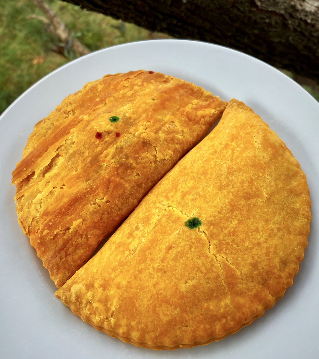 Our son asked for “those spicy patties” for his lunch. #StushPatties, made right here in #Toronto - Lentil & Veggie and Jerk Soy, both #vegan. And SO good! I AM THE SCHOOL LUNCH QUEEN!

#JamaicanPatties #BackToSchool #SchoolLunch #Veganuary #GoVegan