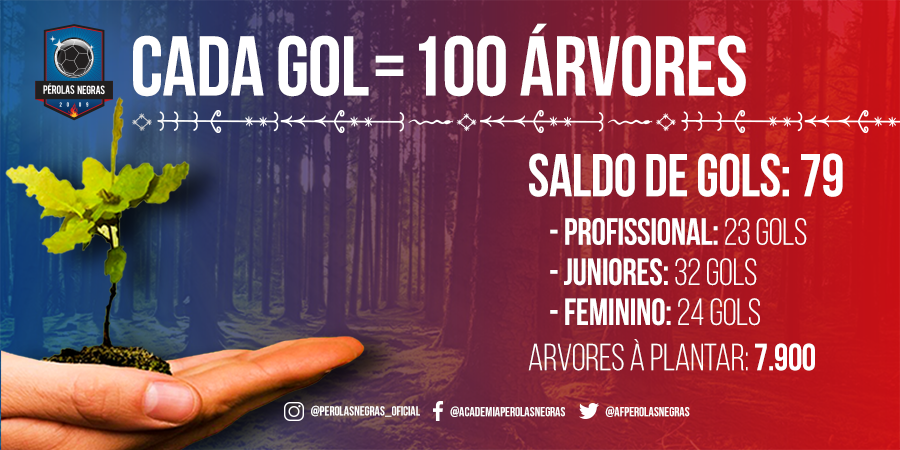 AFPerolasNegras's tweet photo. É chuva de gols, torcedor! ⚽

Nossos times continuam marcando golaços nos campeonatos e garantindo que árvores serão plantadas. 😎🌳

#ESG 
#PerolasNegras
#AvantePerolas https://t.co/DXbssHpvpY