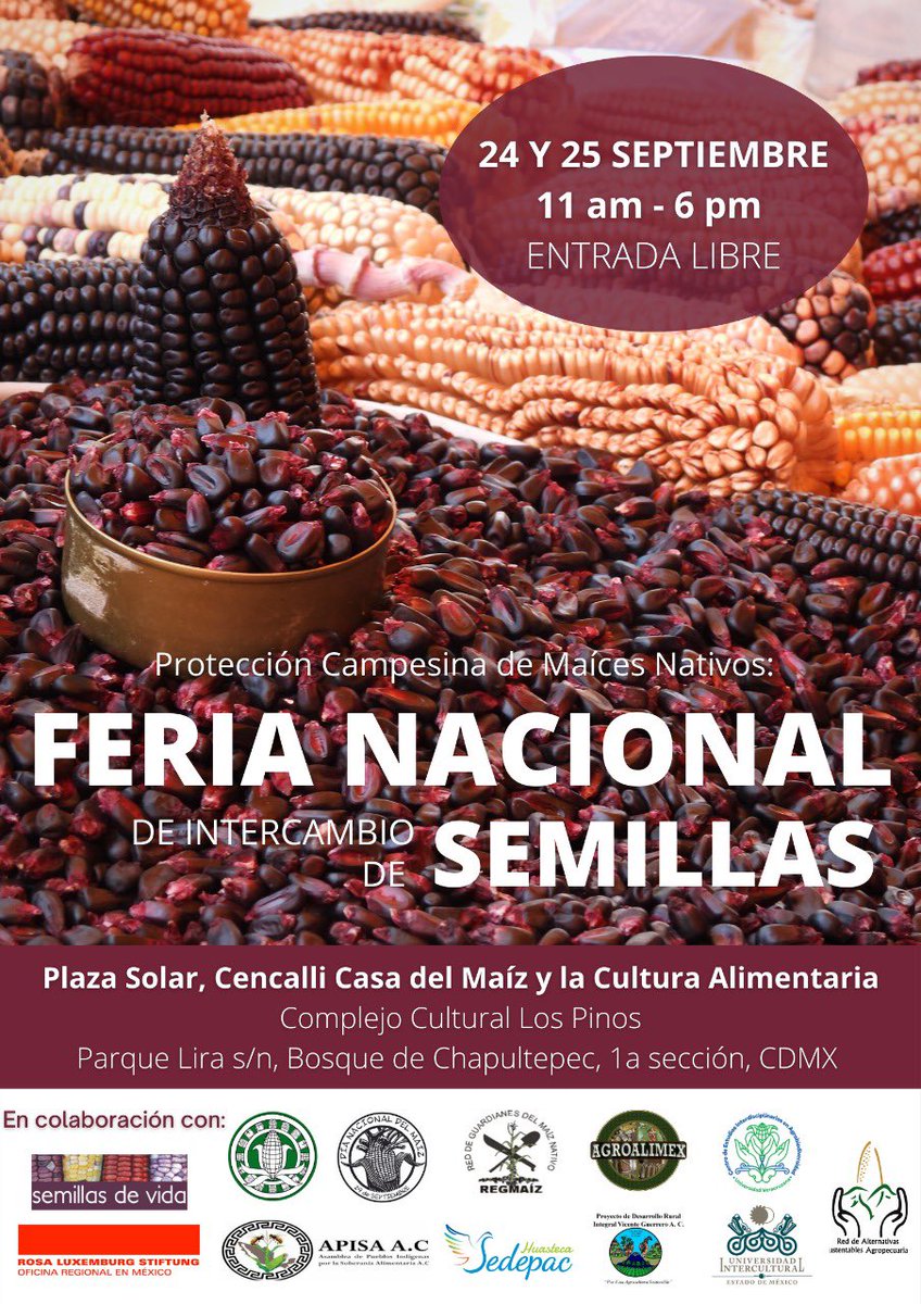 Semillas de Vida 🌽 tweet media