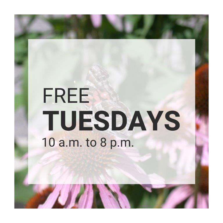 Tuesday is free general admission day at the Huntington Museum of Art and C. Fred Edwards Conservatory. Our Tuesday hours are 10 a.m. to 8 p.m. We hope you can plan a visit to the Huntington Museum of Art very soon!