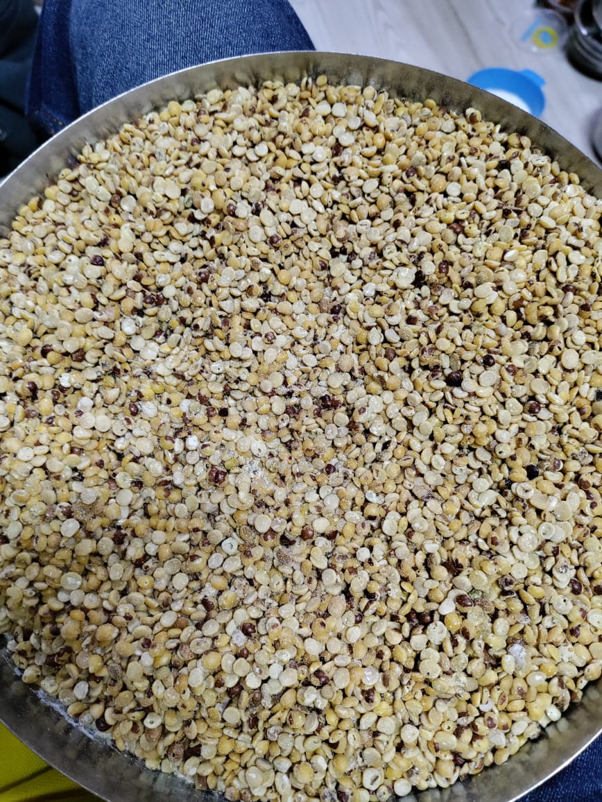 And this is Toordal (after cleaning), can't be used as #animalfeed also. Shameless Act of feeding children this rotten food. <a href="/PMOIndia/">PMO India</a> <a href="/fooddeptgoi/">Department of Food & Public Distribution</a> <a href="/CMOMaharashtra/">CMO Maharashtra</a> <a href="/Dev_Fadnavis/">Devendra Fadnavis</a> <a href="/timesofindia/">The Times Of India</a> <a href="/htTweets/">Hindustan Times</a> <a href="/IndianExpress/">The Indian Express</a>