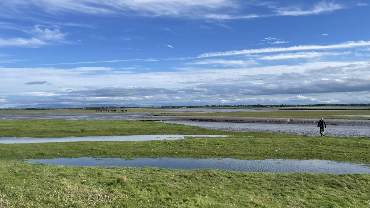 Ruari Martin 🐑🥛🍺 tweet media