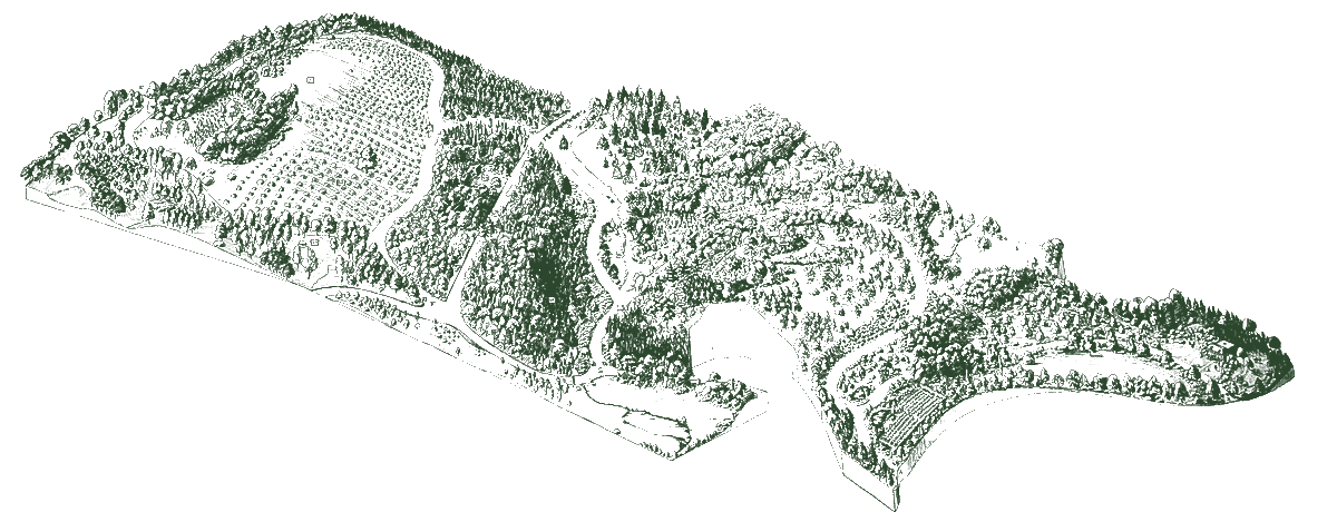 ArnoldArboretum's tweet photo. Tonight! Join us via livestream at 7pm EST to explore the Magic and Meaning of a Garden of Trees in the third installment of our Director's Series.https://t.co/DNT7YTOeaf https://t.co/piCIv8JKV1