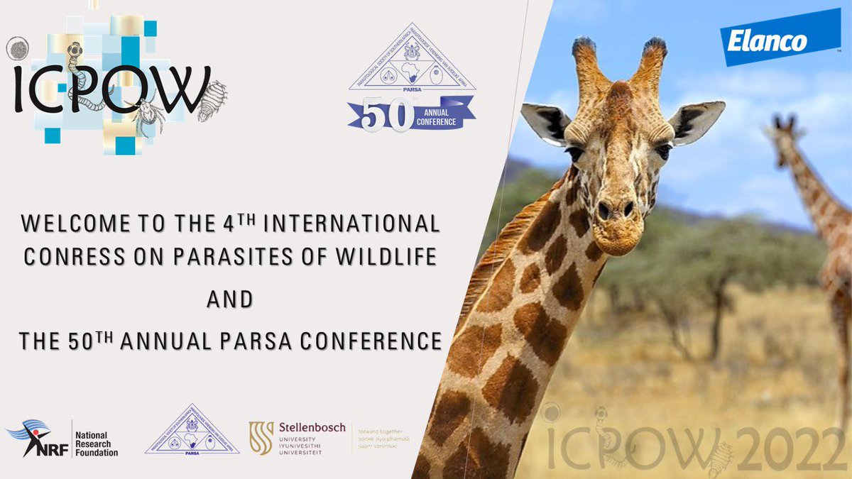 AliHalajian's tweet photo. Nice to see #SonjaDumendiak @UniHohenheim presenting part of our project at:
Internat Congress of #Parasites of #Wildlife 
&amp;
50th annual #PARSA (Parasitological Society of Southern Africa) con,
#Cestode #biodiversity in #Africa 
Diversity #WildlifeParasites 
#ICPOW2022 #PARSA2022 https://t.co/KL6VimItC9