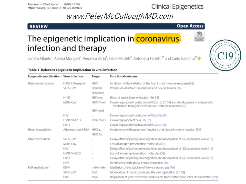 P_McCulloughMD's tweet photo. Atlante, 2020, Italy, wide array epigenetic mechanisms possible with infection that would explain a myriad of long-lasting pathogenic changes in the body.  Potential explanations for some of the manifestations of the long-hauler syndrome and future risks for new medical problems. https://t.co/Qjp3LWffn1
