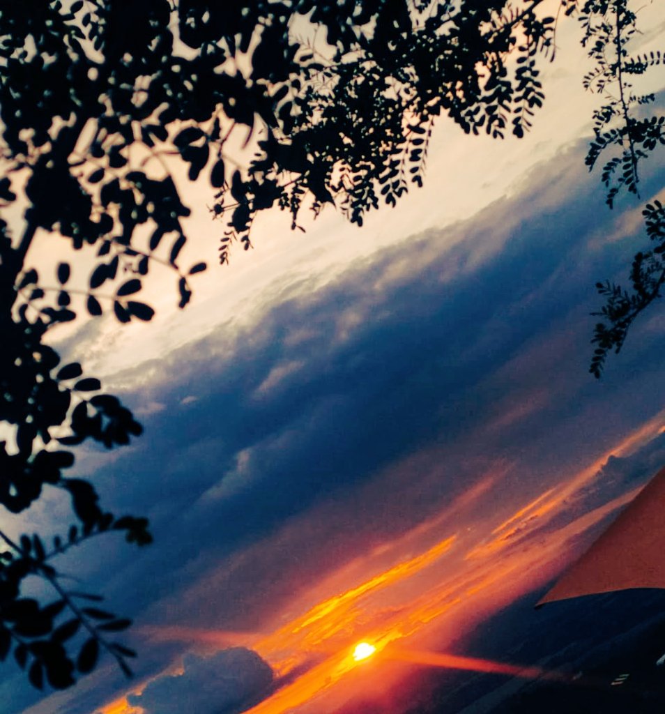 Aleja C (@alejac0605) on Twitter photo 