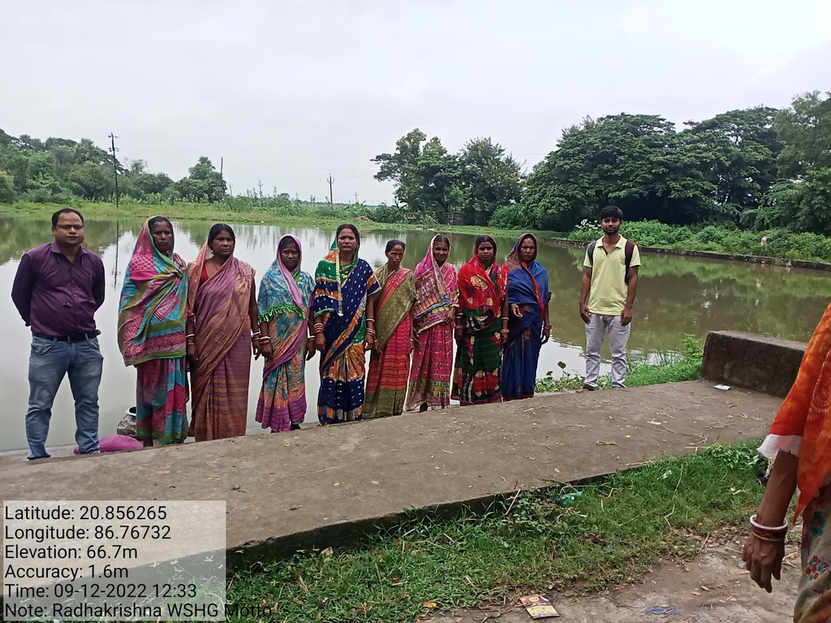 BPMU_Chandbali2's tweet photo. Fish farming in GP  ponds by WSHG of Motto GP under Chandabali -ll ICDS project.@BhadrakDswo @mission_shakti @DM_Bhadrak https://t.co/KerMzFJg6M