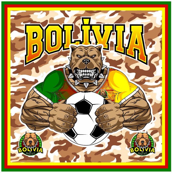 BOLIVIA FC 🇧🇴 tweet media