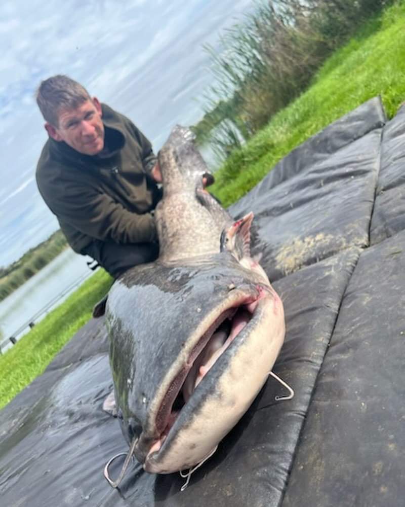 Anglers Paradise Devon tweet media