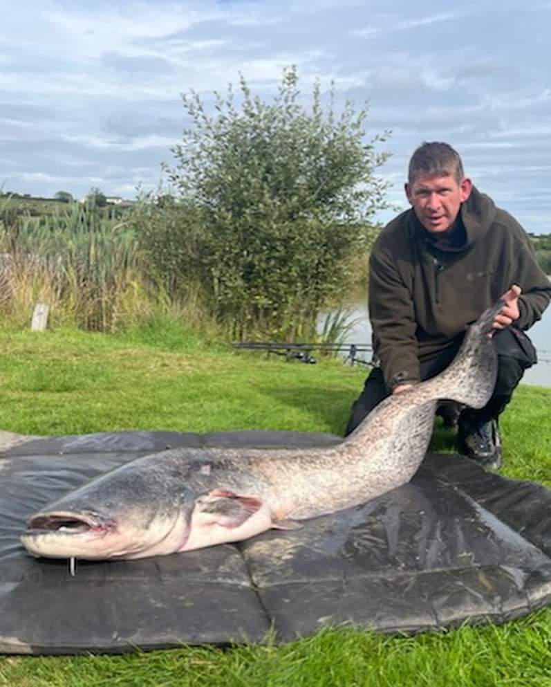 🚨PB ALERT 🚨 

Paul Noone caught his first ever Catfish at 30lbs, then lost one to a hook pull and then goes and catches a massive 58lber!!!
Congratulations Paul 👏🏻🎣🥳😸

#catfish #welscatfish #anglersparadise #bigcat #catchandrelease #nirvana #specimencatlake #catfishing