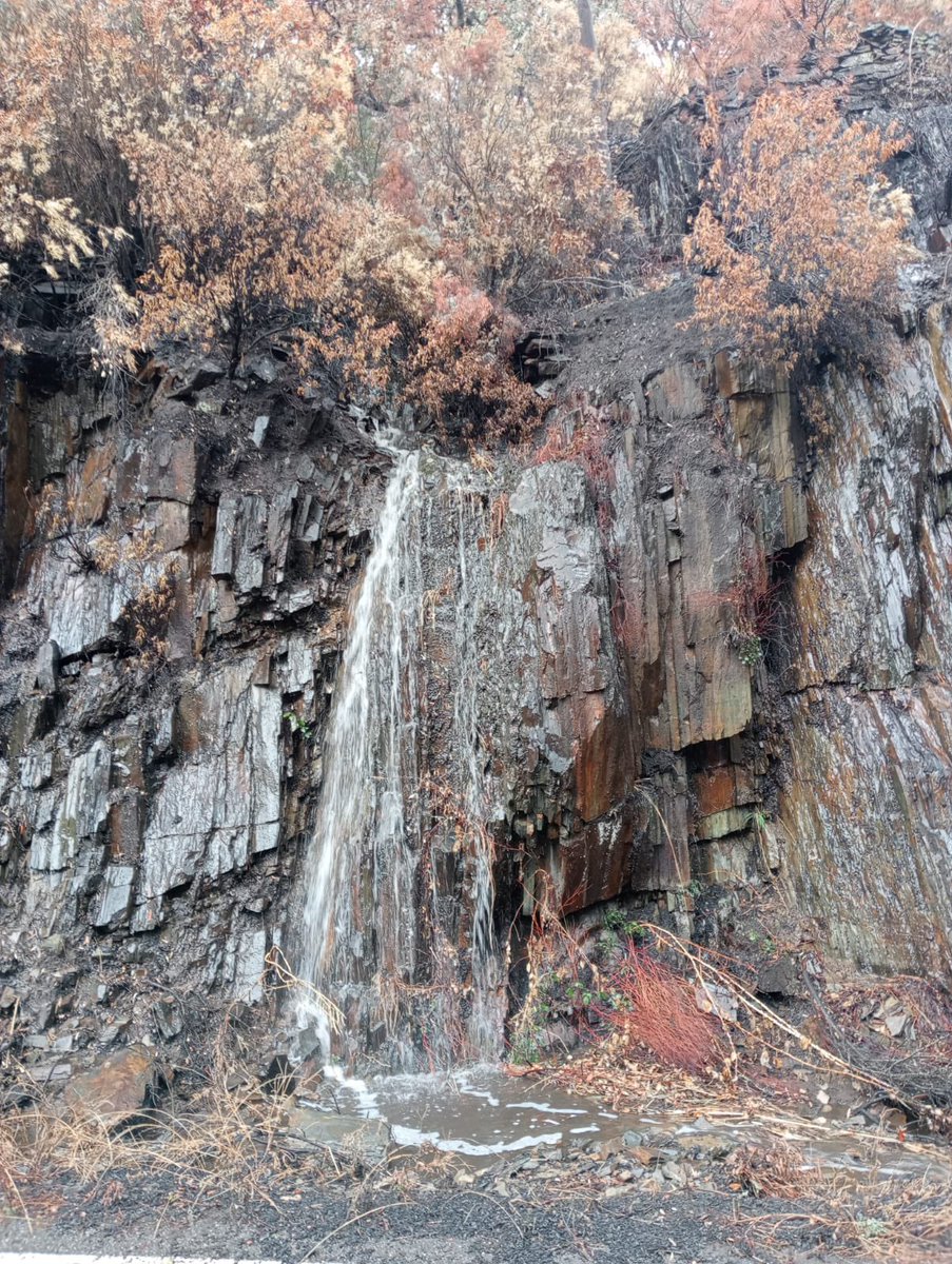 PacoCastanares's tweet photo. El chapapote de cenizas, restos vegetales quemados y tierra, multiplica los daños del incendio, contamina las aguas y mata toda la vida vegetal y animal que habita en ríos, gargantas y arroyos tras las lluvias.

Cabecera del río Ladrillar (Las Hurdes (Cáceres), ahora mismo https://t.co/weFNEkEOp9