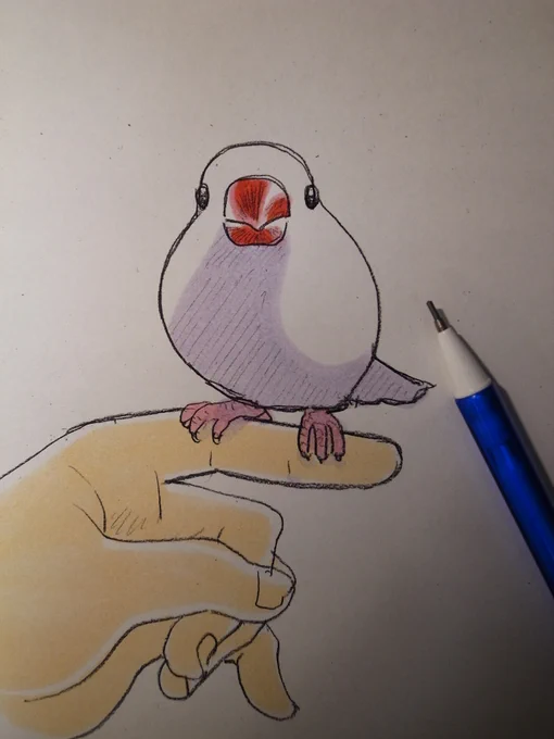 ぶんのちょう 