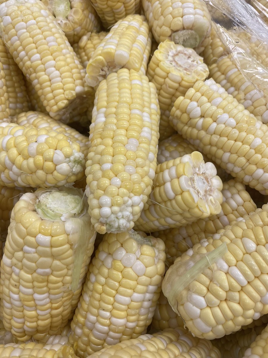 rbpsEAGLES's tweet photo. Take a look at this weekโs bounty!! Delicious!! ๐
๐ฝ Thank you to our wonderful volunteer moms for all your help!! ๐๐ผ๐๐ผMuchas Gracias!! #homeandschoolconnection #FFVatRBPS @ChartwellsK12 @DreamBigRB @RedBankSup #RBBisBIA https://t.co/KwPpmXJcI3