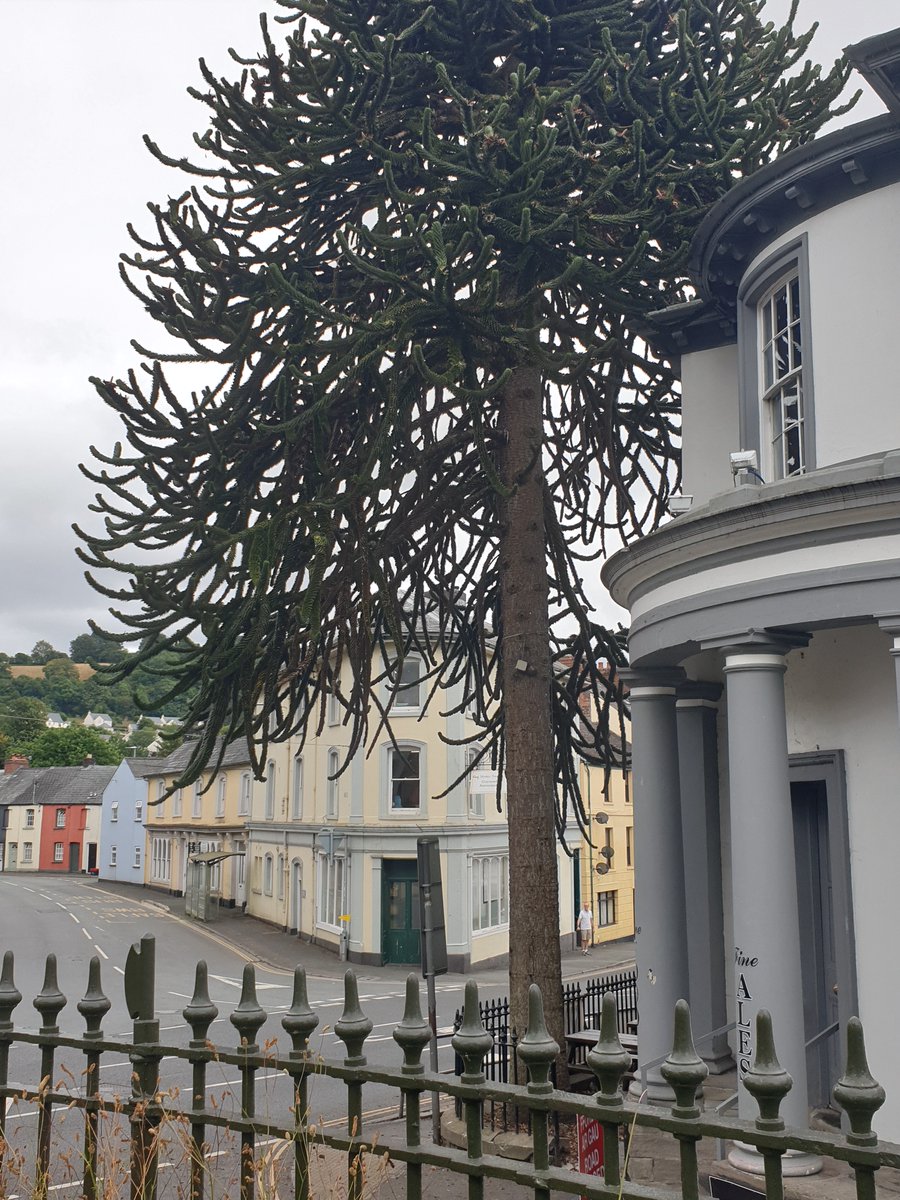 VisitBrecon tweet media