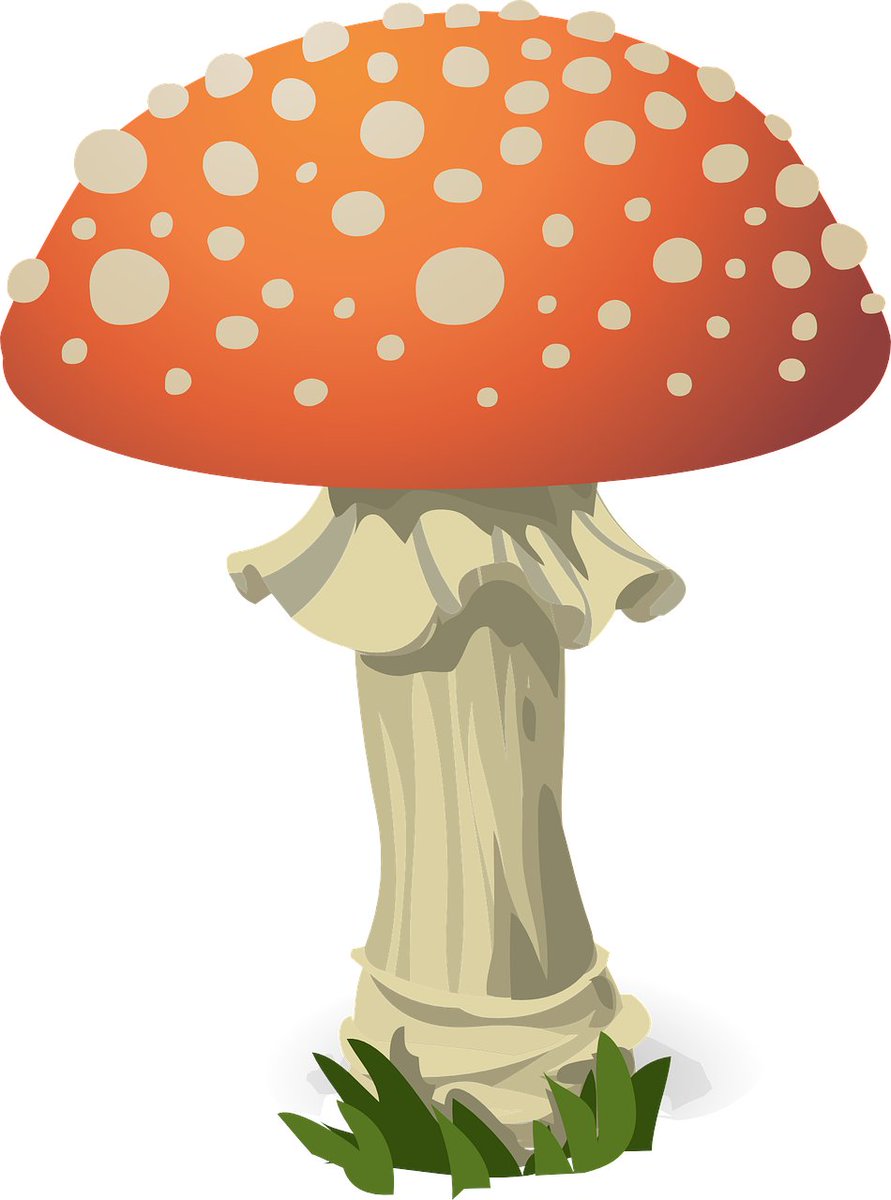 BrandMissile's tweet photo. MushroomAdvocactes .com

#mushroom #nutrition #health #medicine #lifescience #DomainNameForSale #domainforsale #domainnames https://t.co/6wnM1pfWmZ