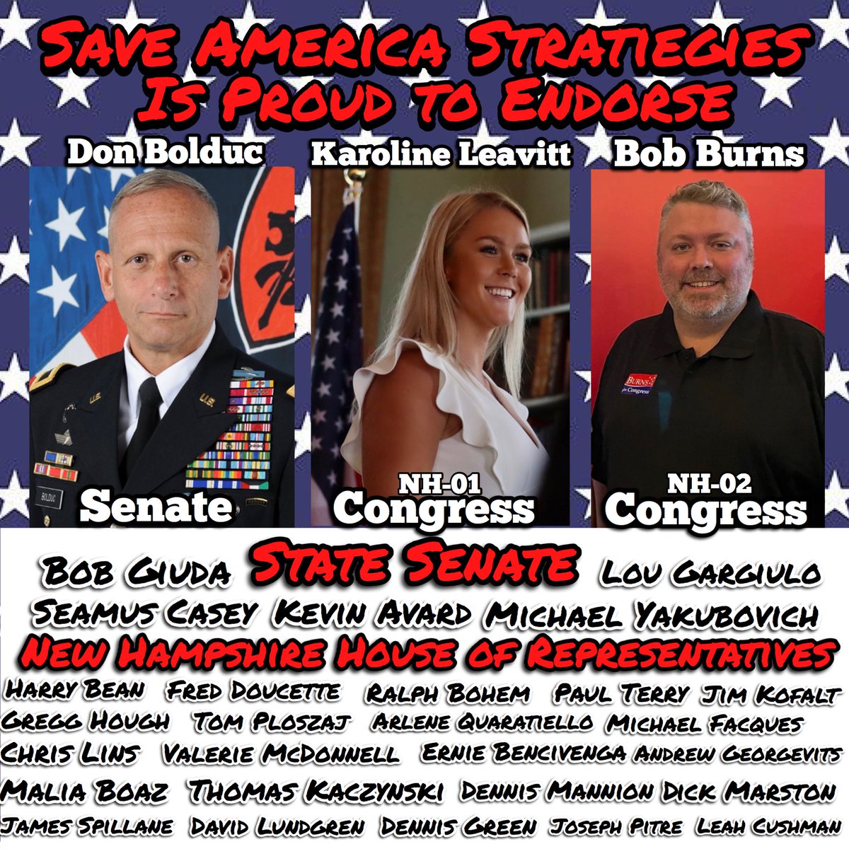 SaveAmericaMAGA's tweet photo. Save America Strategies is proud to endorse the following America First candidates in New Hampshire:

Don Bolduc for Senate 

Karoline for Congress (#NH01)

Bob Burns for Congress (#NH02) 

5 State Senate candidates &amp;

22 State Representative candidates

VOTE TODAY! #NHpolitics https://t.co/1FbaKvztfp