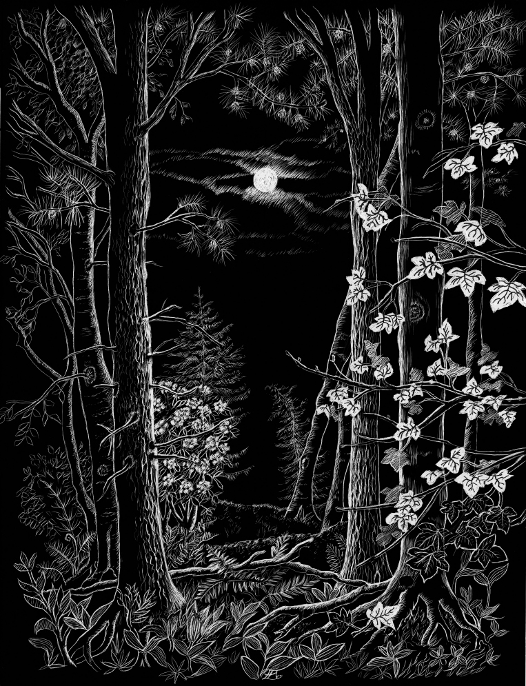 LynneHendFisher's tweet photo. And another which I loved doing. Moonlight Woodland #scraperboard #illustration #artoftheday #landscape #artistsontwitter #naturedrawing #creativeshare
https://t.co/beqICALDtD https://t.co/xEo1HmFRlC