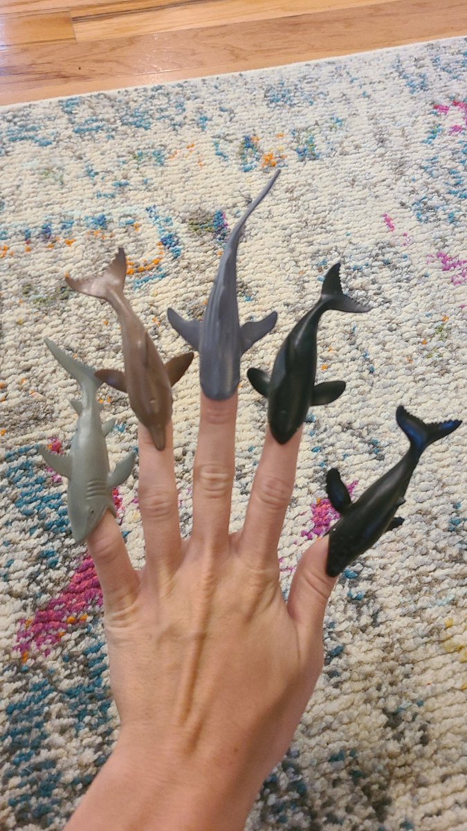 raenmaker's tweet photo. Fresh set https://t.co/dXjlgHDM9U