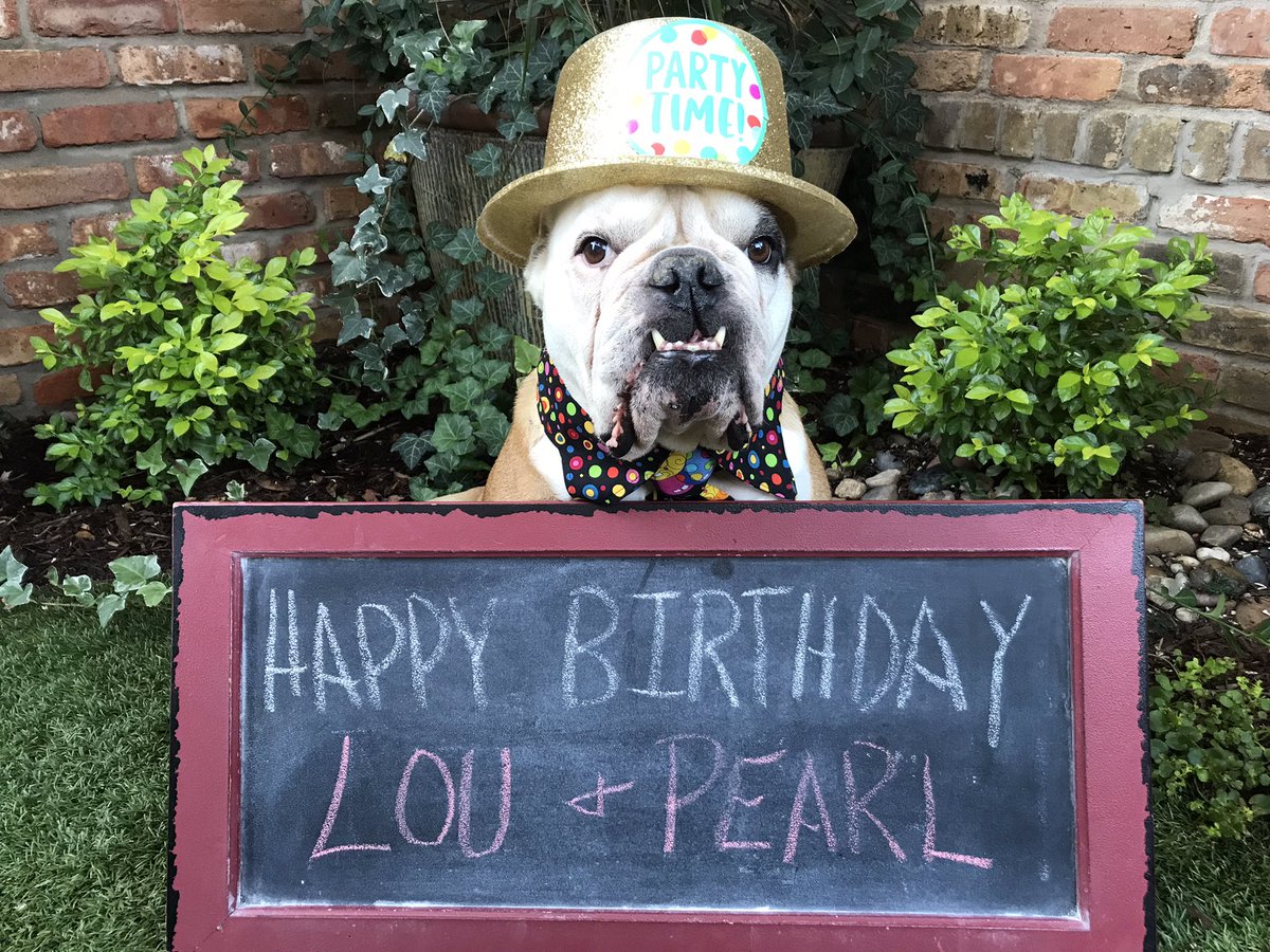 Wishing the biggest of Happy Birthdays to my wonderful friends Lou and Pearl @casie190 … Lou….14 is AMAZING!!!!🎉🎉🎉🎉🎂🎂🎂🎂🎁🎁🎁🎁 Love you two and wish I was at your party!❤️❤️❤️❤️❤️❤️