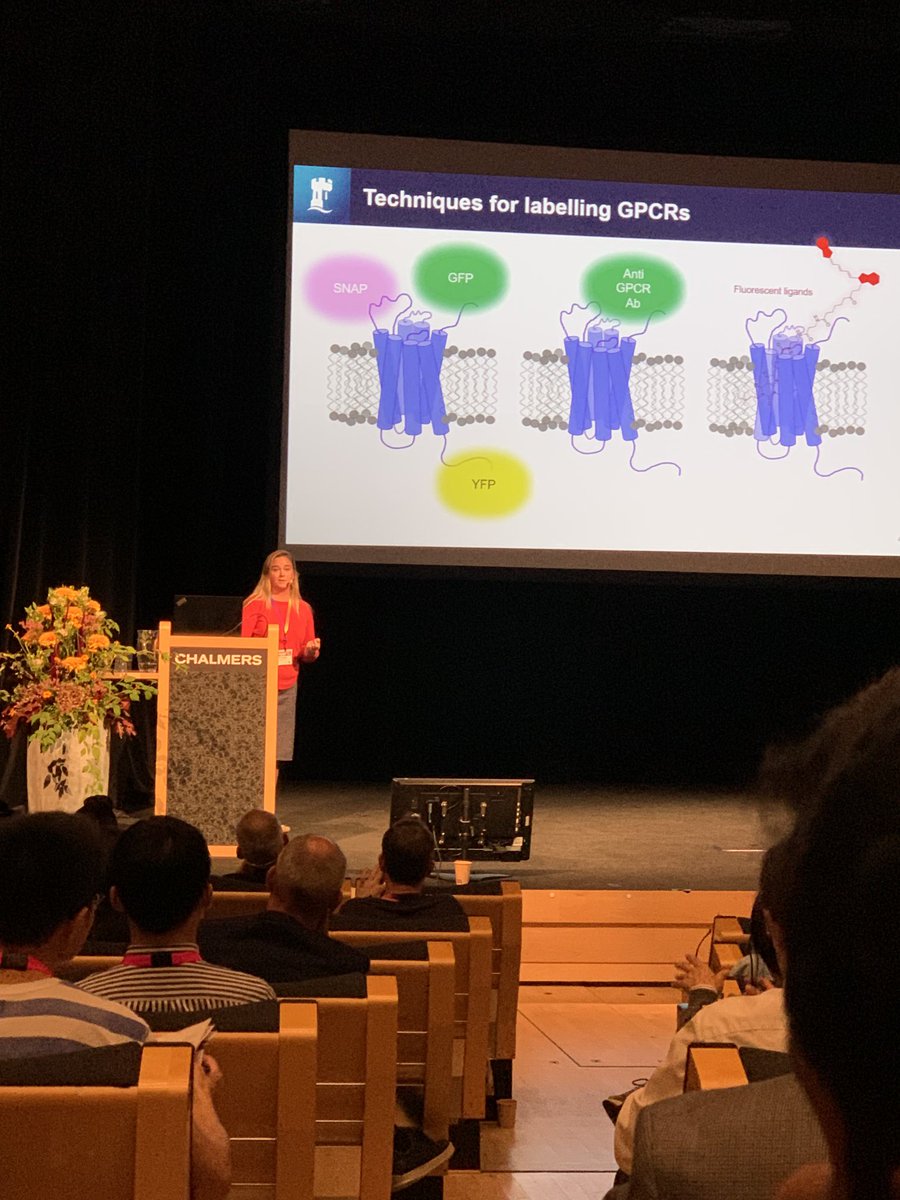 ⁦<a href="/DrJoelleG/">Joëlle Goulding</a>⁩ educating the #MAF22 audience on the significance of GPCRs! Great talk, ⁦<a href="/COMPARE_UoBUoN/">Centre Of Membrane Proteins and REceptors</a>⁩ now on to the conference dinner!!
