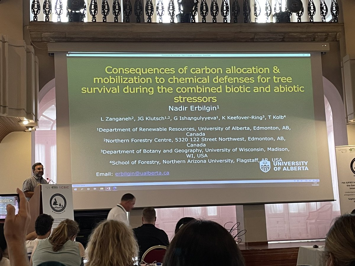 Nadir Erbilgin from @UAlberta discussed #carbon allocation and mobilization of #chemical #defenses and way they affect 🌲 survival during #biotic and #abiotIc stressors. #foresthealth2022 @IUFROdivision7 @7GTPI2022