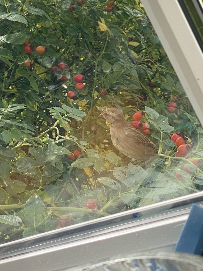 Ever feel like you’re being watched lol