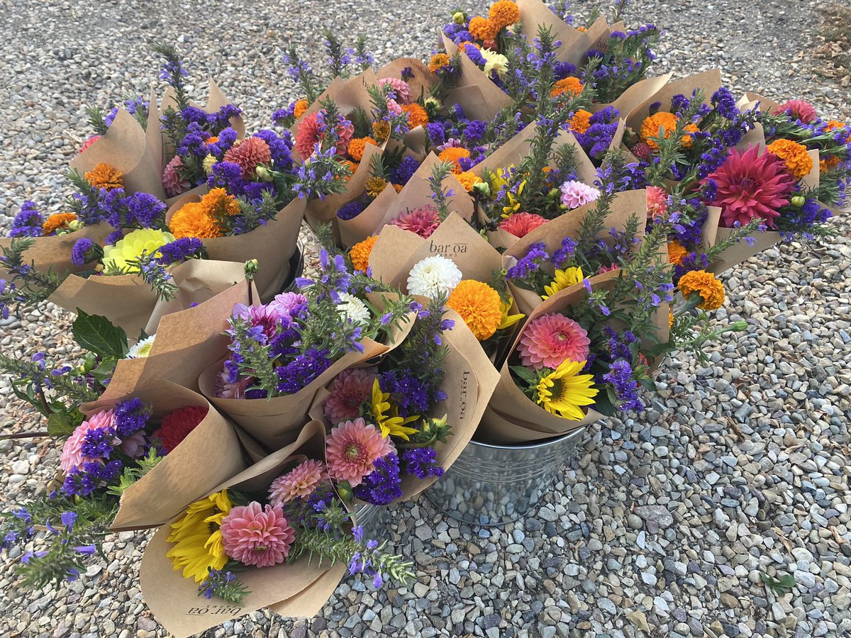 Good morning.  It’s <a href="/Fifendekel/">Fifendekel</a> Customer Appreciation Day today. Make us your lunch stop. Thx to BarOA Farms some of our lucky customers will leave a little more colourful.  #yeg #yegfood