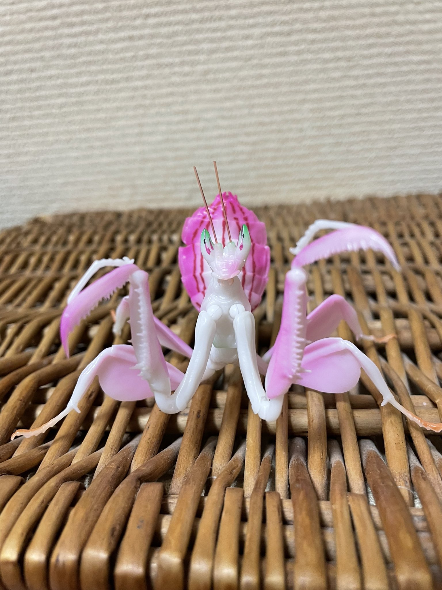 ♡ おおかまきり 様、専用♡※他の方はご遠慮ください‼️ チェンソーマン