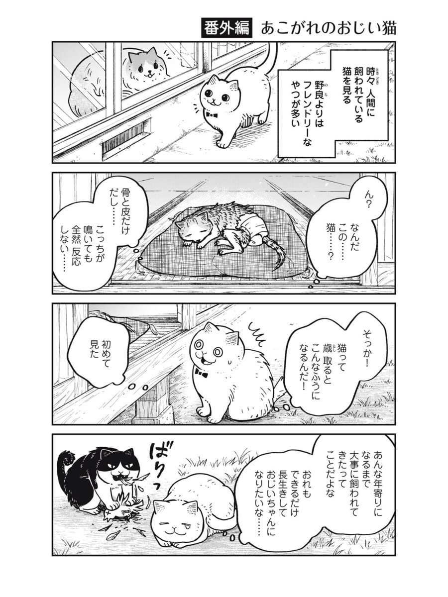 【創作】あこがれのおじい猫
#ツレ猫マルルとハチ #マルルとハチ 