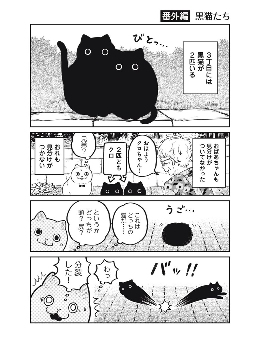 【創作】黒猫たち
#ツレ猫マルルとハチ #マルルとハチ 