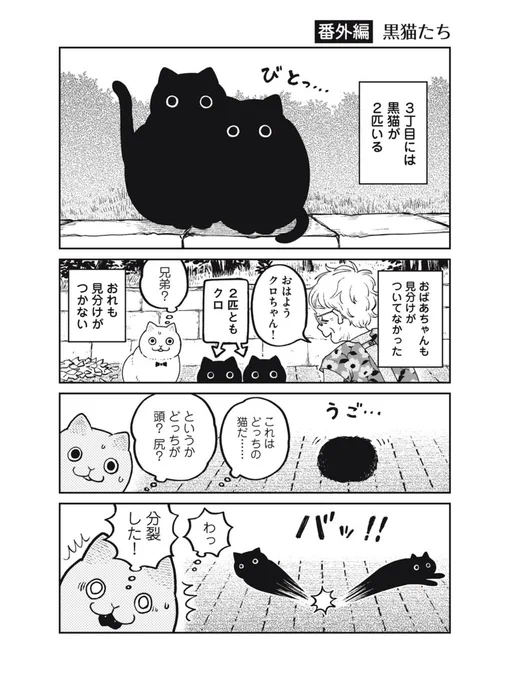 【創作】黒猫たち#ツレ猫マルルとハチ #マルルとハチ 