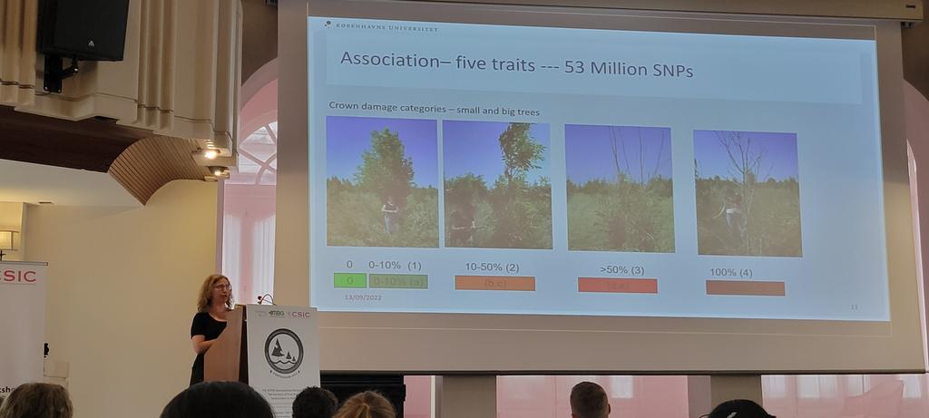 @7GTPI2022 session cap: LR Nielsen on Fraxinus #genomics #SNPs for #tree resistance.