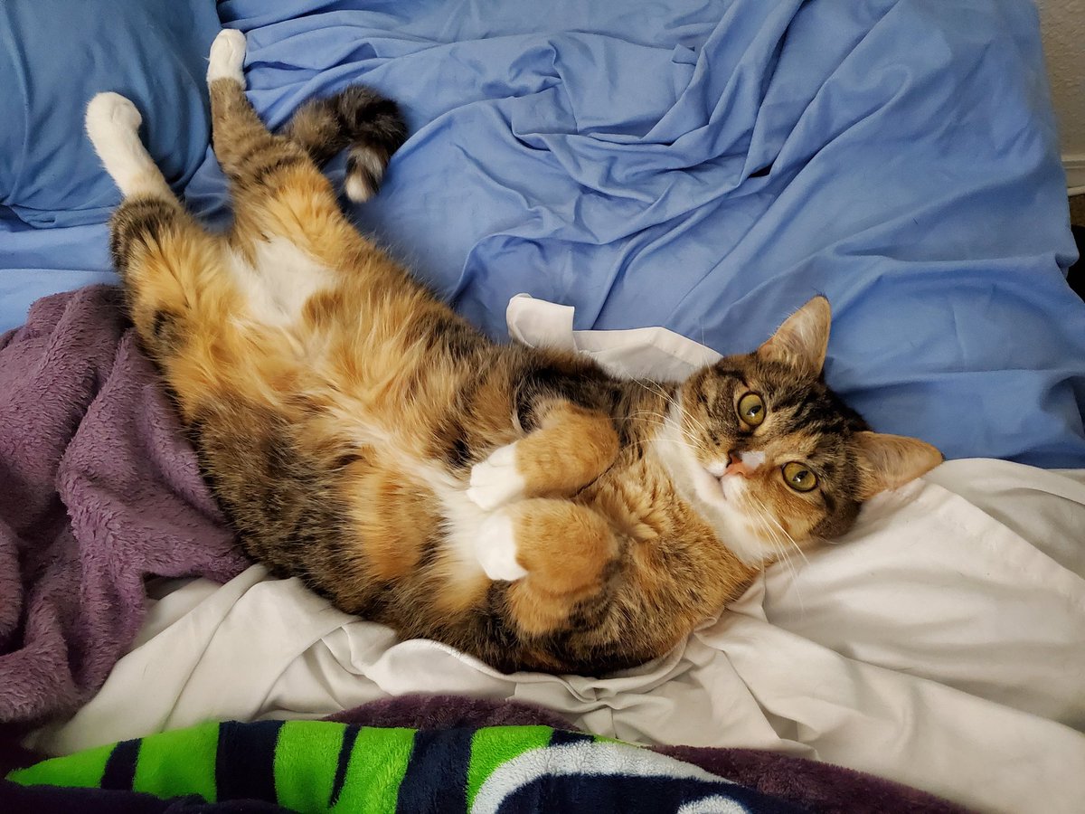 Belly Rubs were requested.

#BestExcusesToComeLateForWork