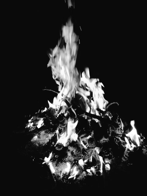 EdwardCuttle's tweet image. ”Diable!” exclaimed the poet, finding at the bottom of his pocket the reality—that is to say, nothing at all.

V. Hugo, The Hunchback of Notre-Dame