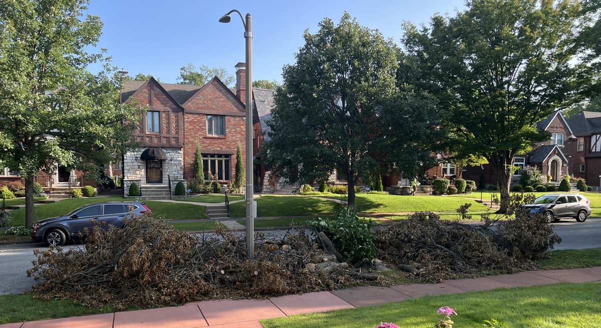 coschwarzen's tweet photo. @stlcsb my neighbor’s tree was cut down one week ago today. Neighbors all around us have reported/requested this be picked up. When can we expect a resolution? 6200 block of Walsh. https://t.co/Q5wKXdL6uK