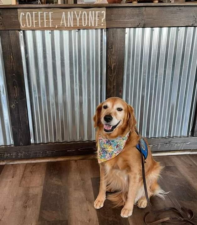lcck9dinah's tweet photo. Anyone? LCC K-9 Comfort Dogs #coffee #noneformethanks https://t.co/kTnv3OjmsT