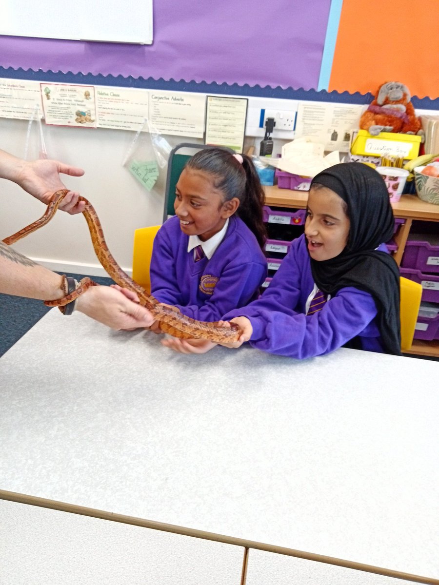 KingsleyLpool's tweet photo. Meet Tango the last of our beautiful friends from our visit by @ZooLabUK #KingsleyScience #Class6M #6M https://t.co/HH75tHajGN