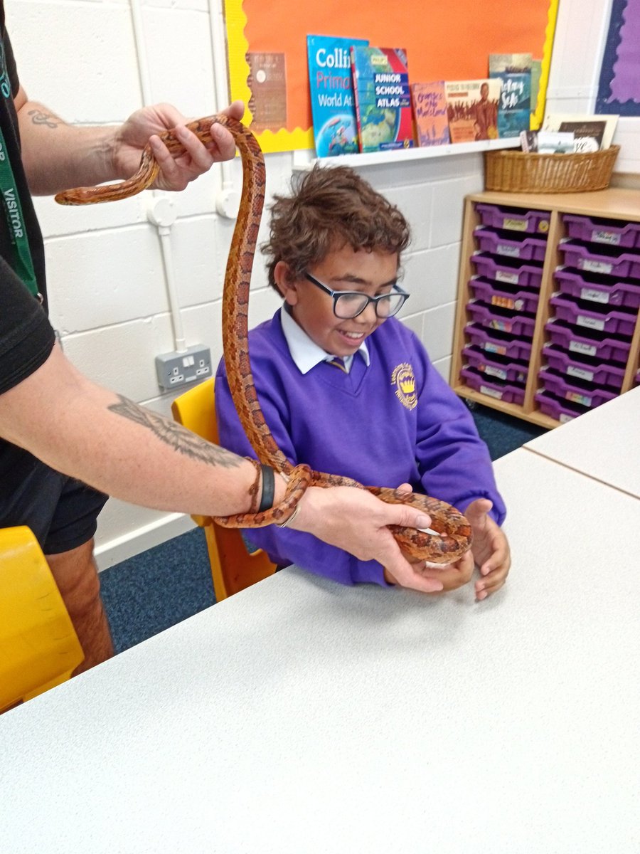 KingsleyLpool's tweet photo. Meet Tango the last of our beautiful friends from our visit by @ZooLabUK #KingsleyScience #Class6M #6M https://t.co/HH75tHajGN