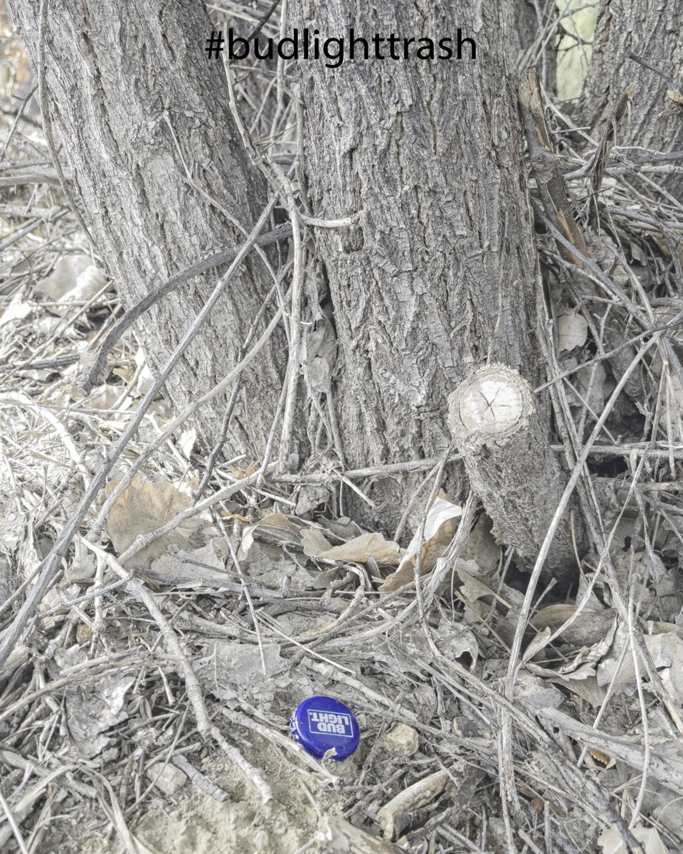 BrittsImages's tweet photo. Cool Blue Color in the shade.
#startedabin #startabin #budlighttrash https://t.co/rO6lzf9QL7 https://t.co/pyImfuBIOI