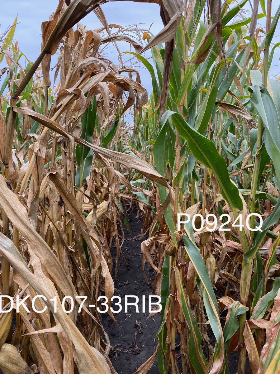 Mike Eiberger tweet media