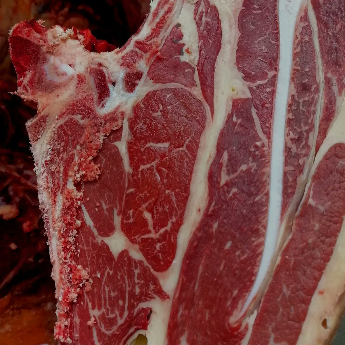 This blue grey stopped me in my tracks earlier 😍😍

Beautiful marbled beef from @heatheryhall_farm you lucky people of Petersfield!! @buckinghamsartisanbutchery <a href="/damothebutcher/">Damon Buckingham</a>

#bluegrey #nativebreed #scottishbeef #grassfedbeef #sustainablefarming #farmtofork #macduff1890